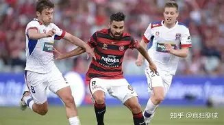 知名主持人,撒贝宁家庭,逛街温馨画,大发彩票官网,大发彩票dafa官网入口,大发彩票网站,大发彩票官网娱乐,大发彩票dafa,大发彩票dafa登录入口