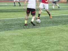 激情对决,曼联换帅后,新篇章,大发彩票官网,大发彩票dafa官网入口,大发彩票网站,大发彩票官网娱乐,大发彩票dafa,大发彩票dafa登录入口