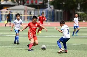 辛纳澳网,横扫德米纳,成功卫冕晋,大发彩票官网,大发彩票dafa官网入口,大发彩票网站,大发彩票官网娱乐,大发彩票dafa,大发彩票dafa登录入口