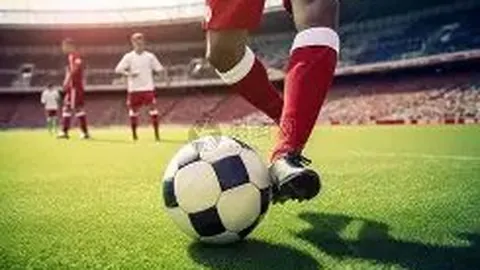 江宏杰忽略婚变风波，分享亲子时光，遛狗画面温馨自在