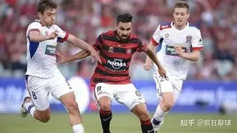 知名主持人撒贝宁家庭逛街温馨画面引网友关注，萌娃背影萌态十足