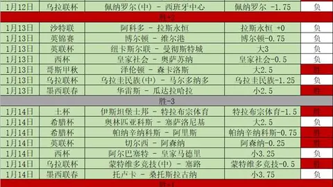 2006年世界杯意大利冠军队成员盘点
