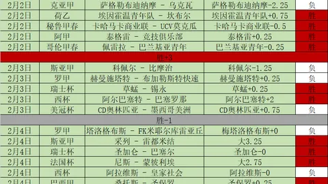 足协公布2025年财务状况：负债额达12亿——羊城晚报讯